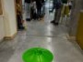 IMG 3624