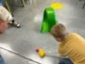 IMG 3629