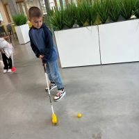 IMG 3631
