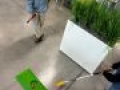 IMG 3633