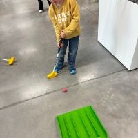 IMG 3637