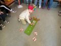 IMG 3675