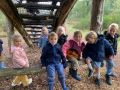 IMG 4106