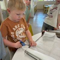 IMG 3668