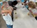 IMG 3675
