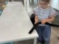 IMG 3681