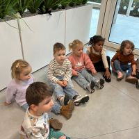 IMG 3771