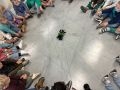 IMG 3774