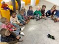 IMG 3775
