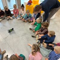 IMG 3779