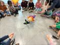 IMG 3786