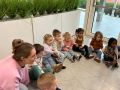 IMG 3787